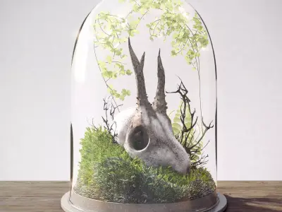 Skull in Flask 3D model