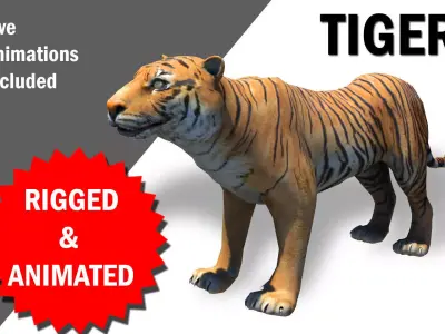 Bengol Tiger rigged and  Animated 3D model