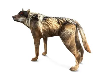 Fox rigged 3D Models low poly model Low-poly 3D model