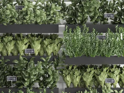 Decorative plants for the kitchen on wooden box 38 3D model