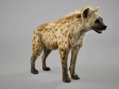 Hyena Rig UNREAL project   Maya base rig 3D model