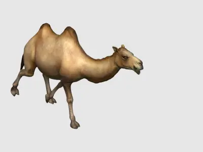 camel animation 3D model