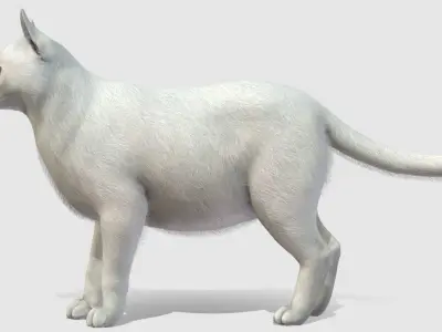 Cats - Fat Low-poly 3D model