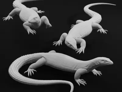 Ackie Monitor - Spiny Tailed Monitor - Lizard Reptile 3D Print 3D print model