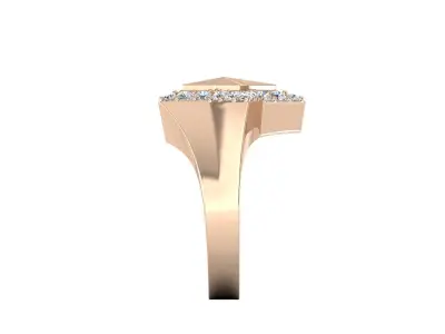 RIng Star N2 3D print model