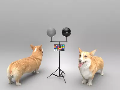 Corgi dog 39 Low-poly 3D model