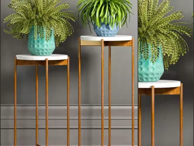 Decorative plant set-34 3D model