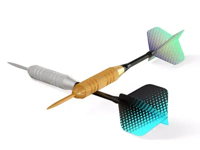 Two Dart Needles 3D model