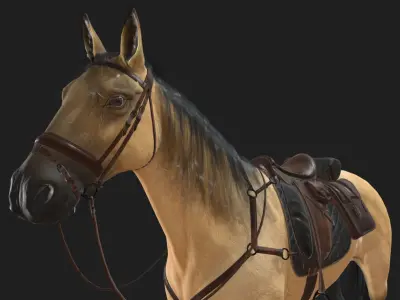 Caballo Horse Low-poly 3D model