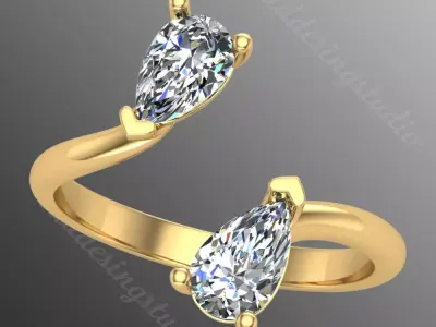 Ring ri234 3D print model