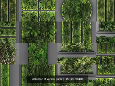 Collection of Vertical garden - 20