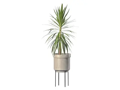 plant set-001 3D model