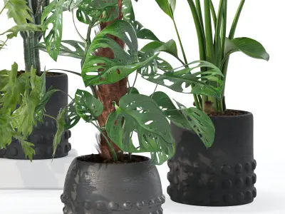 Plants collection 133 3D model