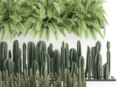 Decorative plants for the interior in a white flowerpot 581 3D model