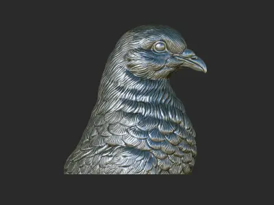 Pigeon bust 3D print model