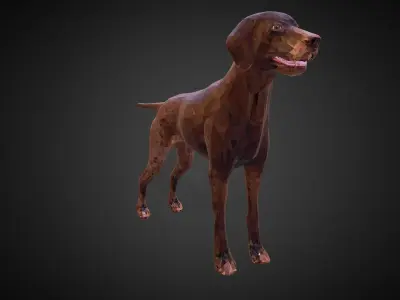 Dog Kurtshaar Brown Low Polygon Art Animal Low-poly 3D model