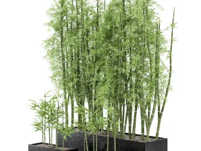  Indoor Plants Bamboo Set in rusty Concrete Pots - Set 7 3D model