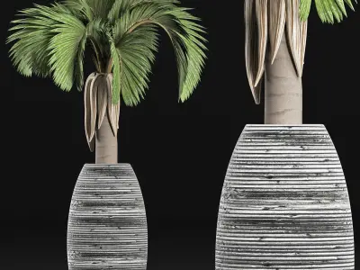 Plants Collection 183 Palm 3D model