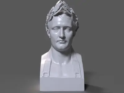 Napoleon Bust 3D print model