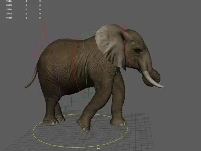 Elephant  Animation Low-poly 3D model