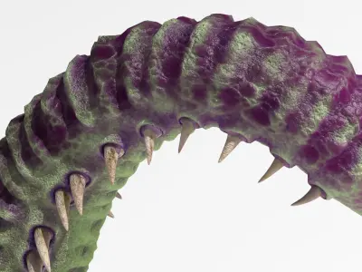 Worm tentacle 3D model