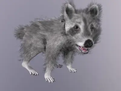 3D model Raccoon Animated Low-poly 3D model