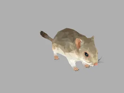 Grey Sand Mous Low Polygon Art  Animal Mouse Low-poly 3D model