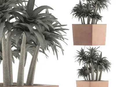 Plants Collection 84 3D model