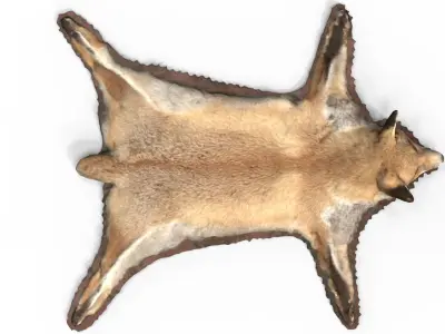 CARPET FOX 3D model