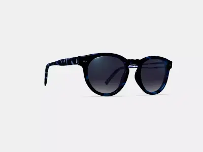 Hayes Sunglasses in Riverbed Tortoise 3D model