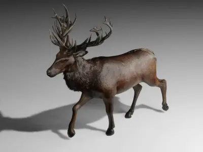 Elk Deer Rigged and Animated Low-poly 3D model