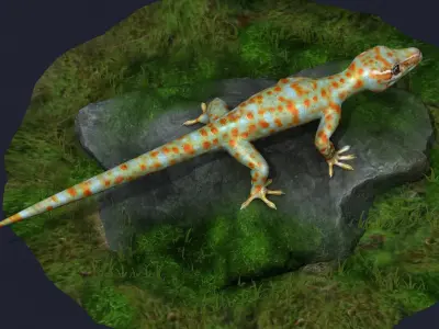 gecko animal lizard reptile stylized cartoon creature cute 3D model
