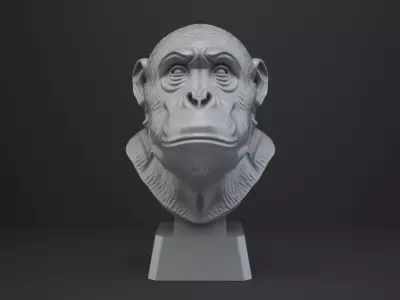 Ape Bust - Animal Figurine 3D print model purchase