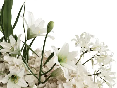 Flower In Vase 73 3D model