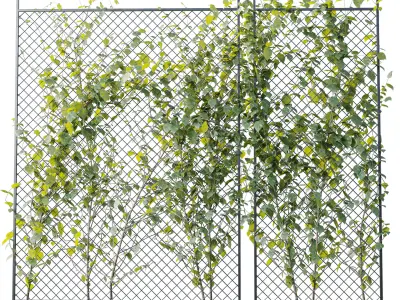 Ivy on Fence 04 Low-poly 3D model