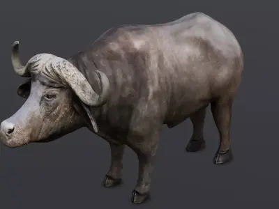 Buffalo 3D model  Low-poly 3D model