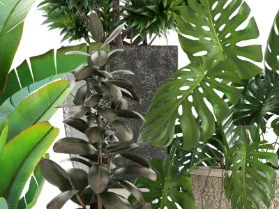 Collection plants different in pots 3D model