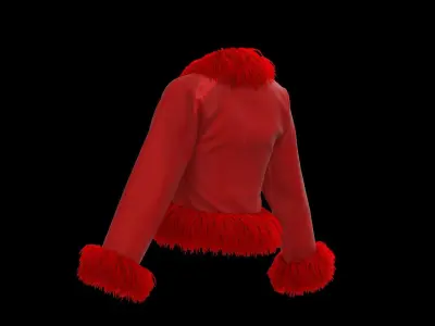 Feather jacket 3D model