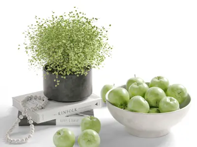 Decorative Set Collection 02 purchase