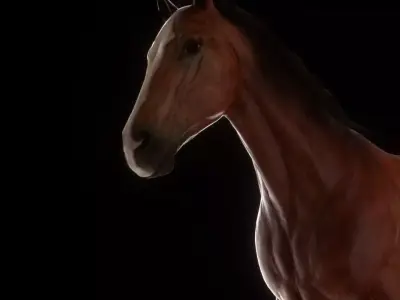 Three Horses Low-poly 3D model