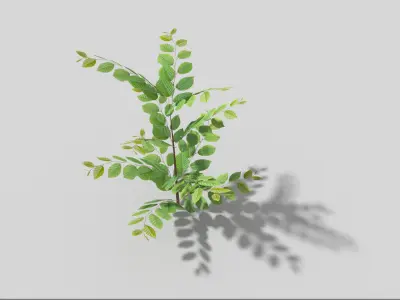 Low poly Plant Low-poly 3D model
