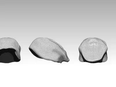 Fashion hat 3D print model