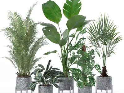 Plants collection 130 3D model