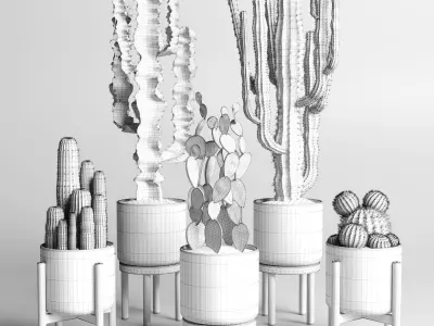cactus pot  wood vase  collection indoor plant 186  3D model