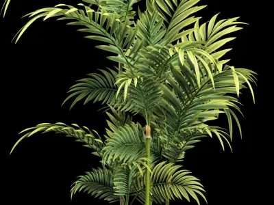 Plants 95 3D model