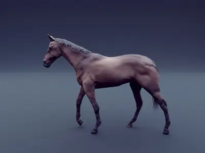 horse animated Low-poly 3D model
