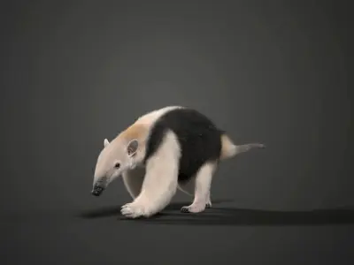 Baby Anteaters Animated VFX Grace 3D model