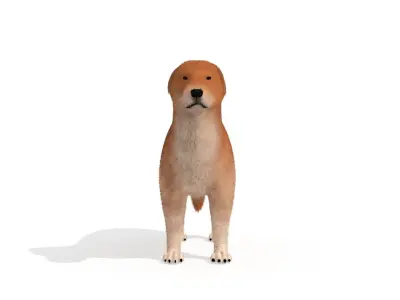 Labrador Dog Animal Pet 3D model