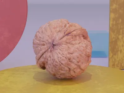 Walnut fruit 02 high-poly 3D model