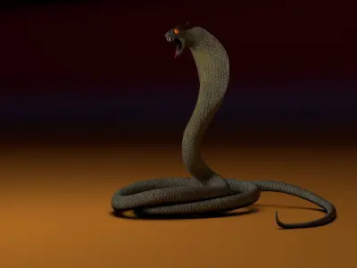 Cobra snake 3D model purchase